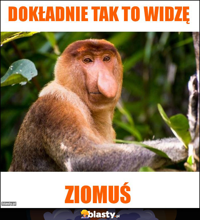 Dokładnie tak to widzę