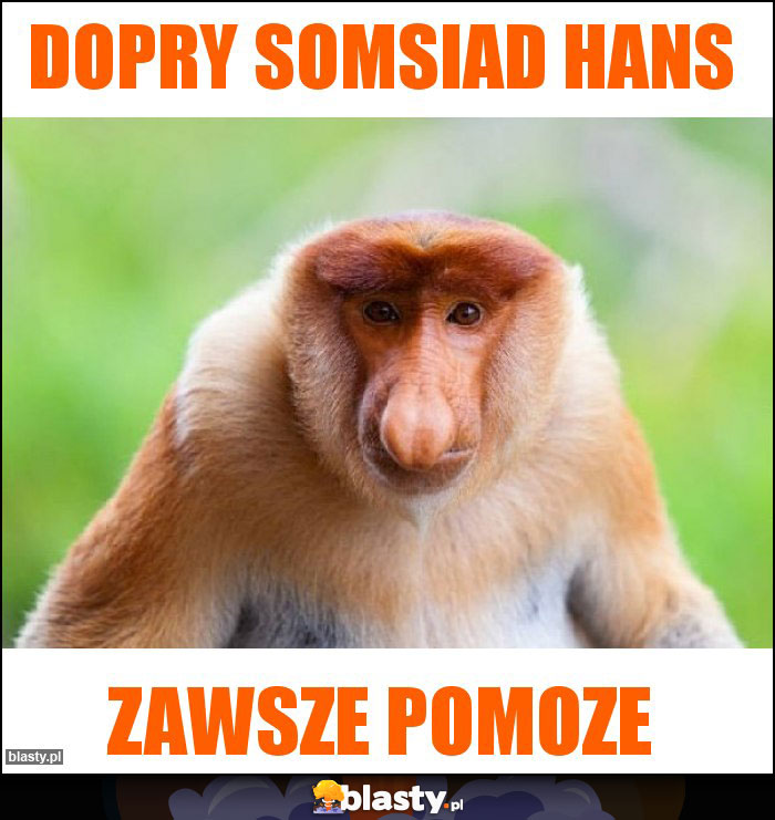 Dopry somsiad hans