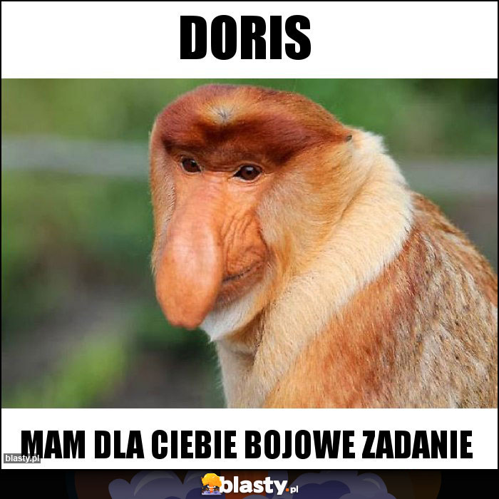 Doris