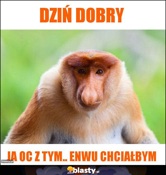 DZIŃ DOBRY