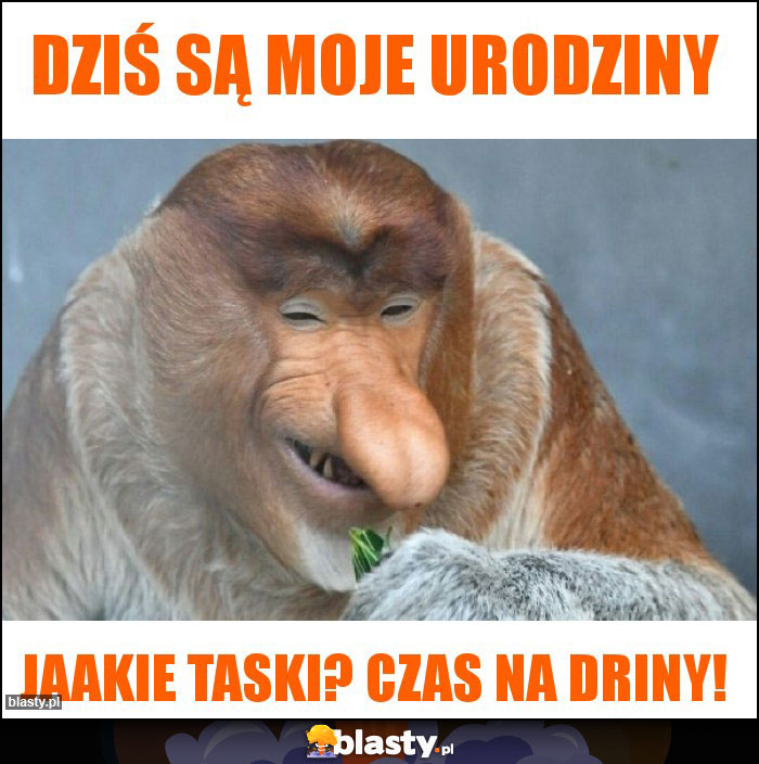 Dziś są moje urodziny