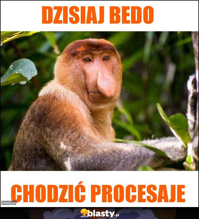 Dzisiaj bedo