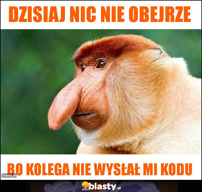 Dzisiaj nic nie obejrze