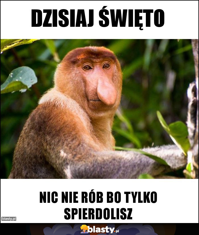 Dzisiaj święto