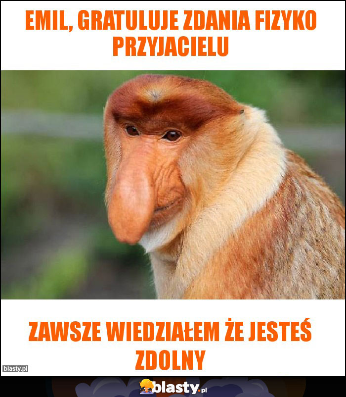 Emil, gratuluje zdania fizyko przyjacielu