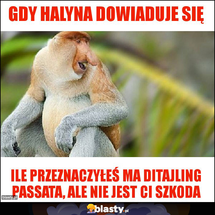 Gdy Halyna dowiaduje się