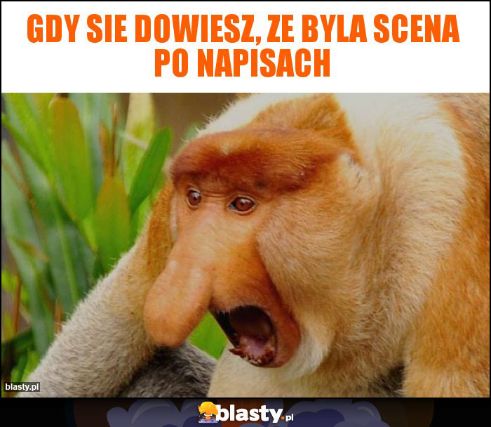 Gdy sie dowiesz, ze byla scena po napisach