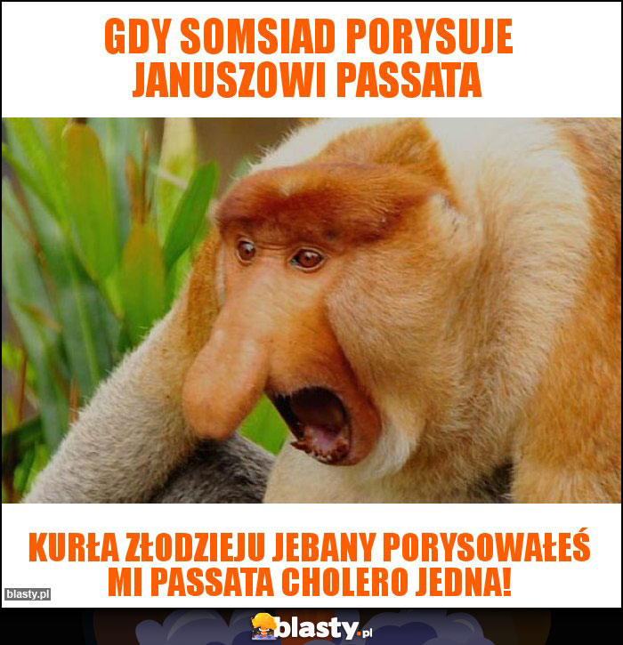 Gdy somsiad porysuje Januszowi passata