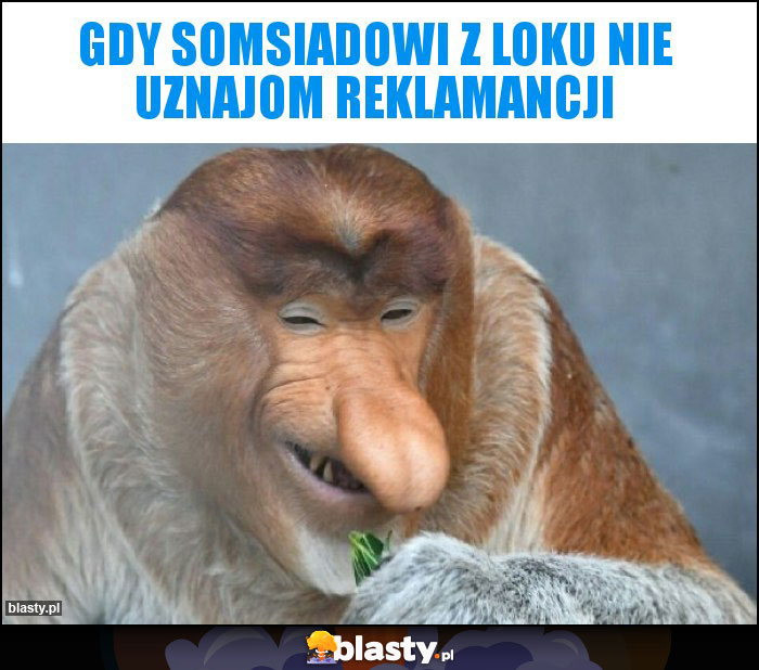 Gdy somsiadowi z loku nie uznajom reklamancji