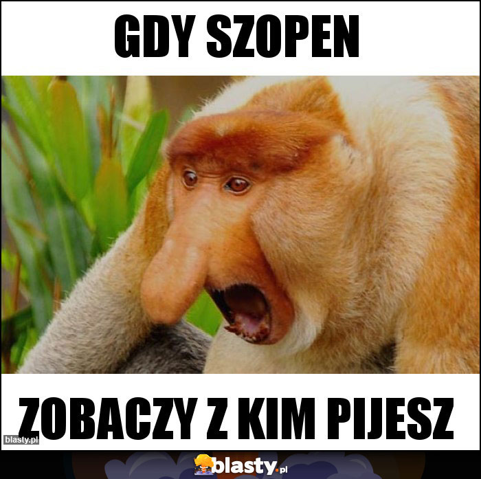 Gdy szopen