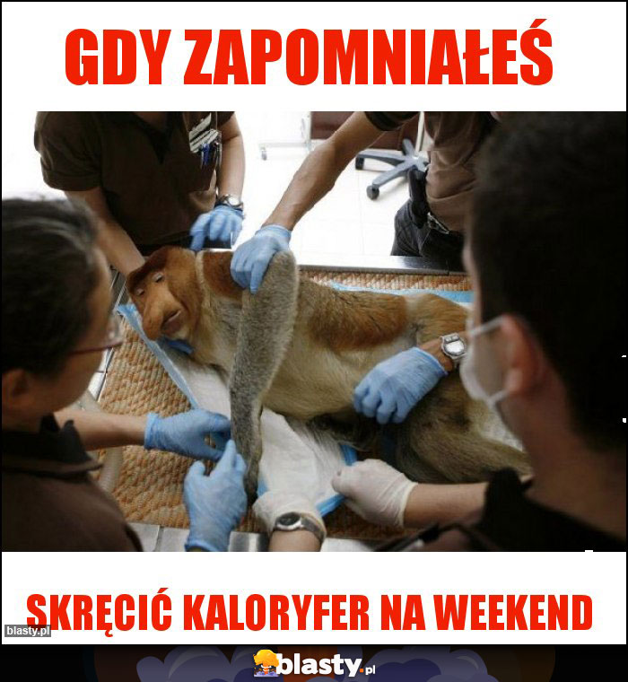 Gdy zapomniałeś