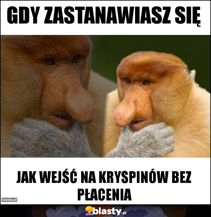 Gdy zastanawiasz się