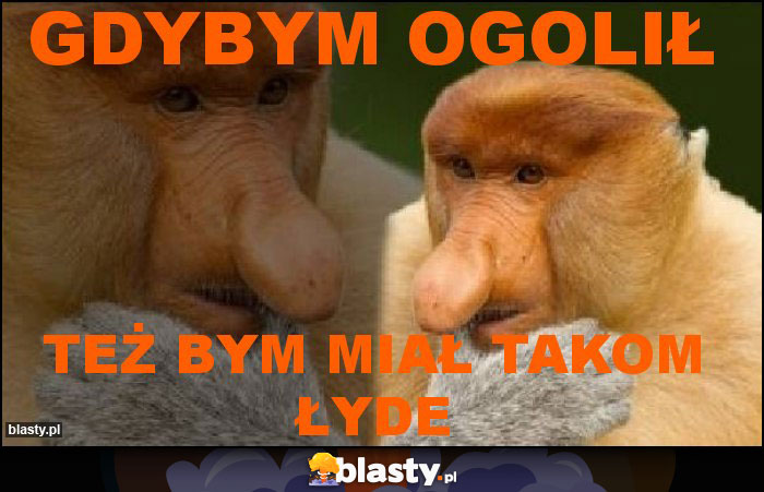 gdybym ogolił