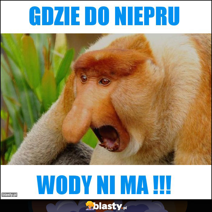 GDZIE DO NIEPRU