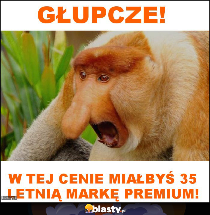 Głupcze!