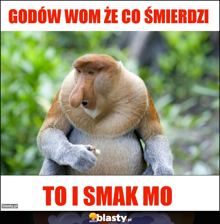 godów wom że co śmierdzi