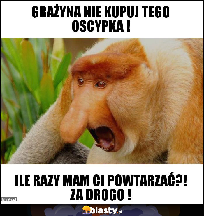 grażyna nie kupuj tego oscypka !