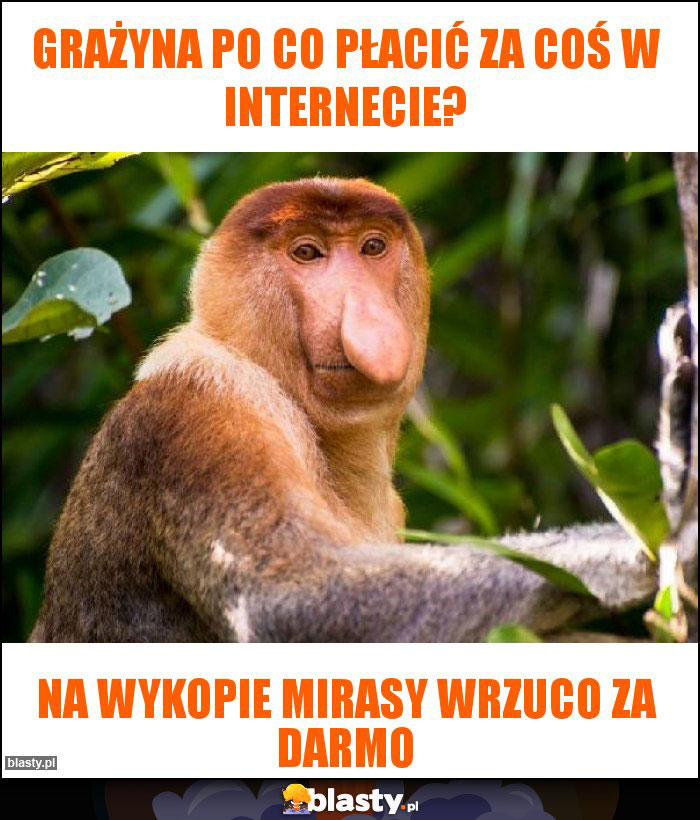 Grażyna po co płacić za coś w internecie?