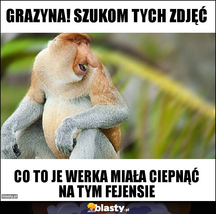 Grazyna! Szukom tych zdjęć