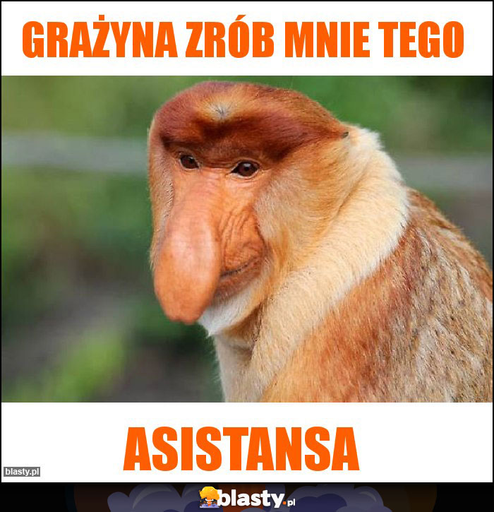 Grażyna zrób mnie tego