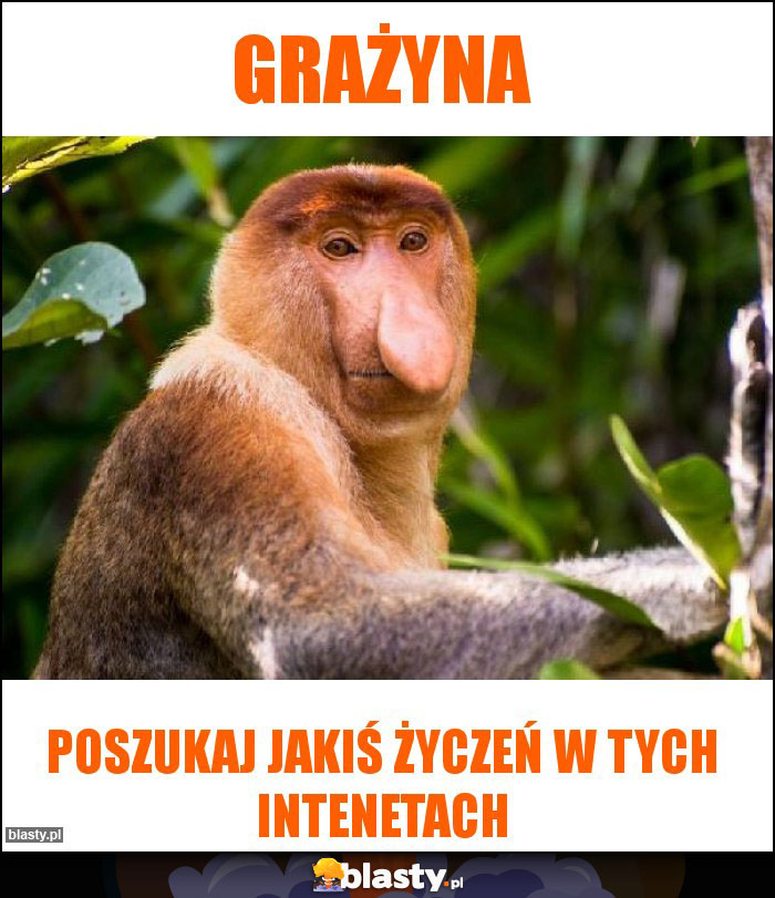 Grażyna