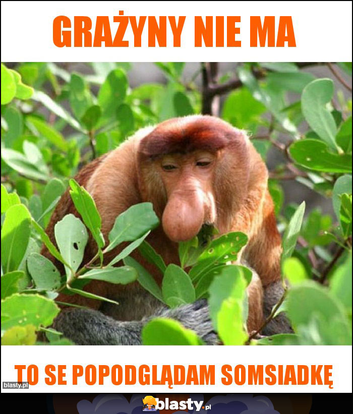 grażyny nie ma