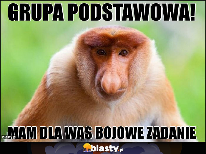 Grupa podstawowa!