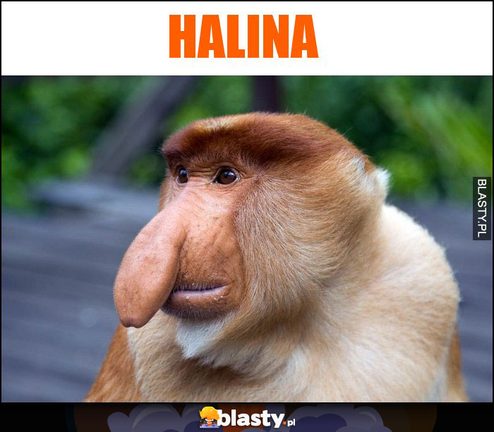 halina