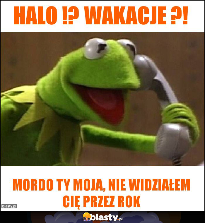 halo !? wakacje ?!