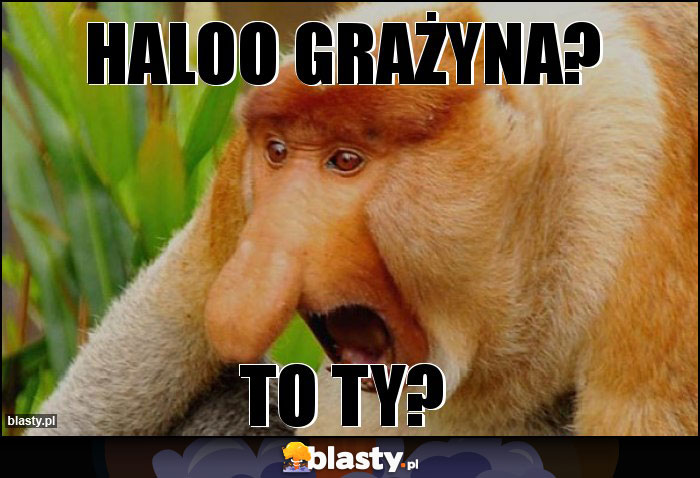 HALOO GRAŻYNA?