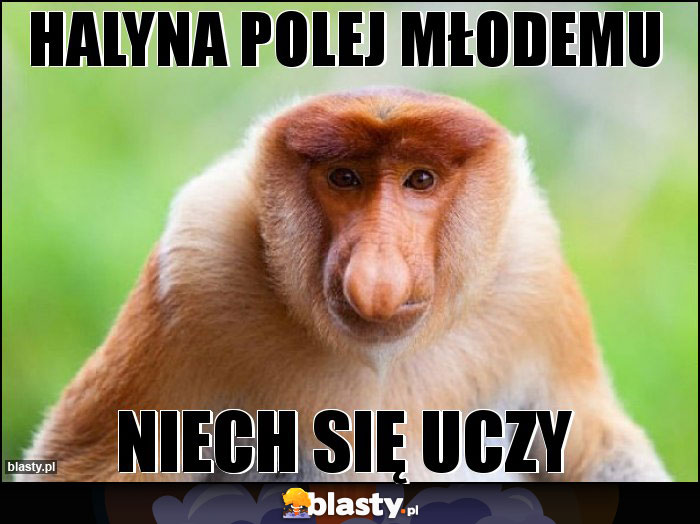 Halyna polej młodemu