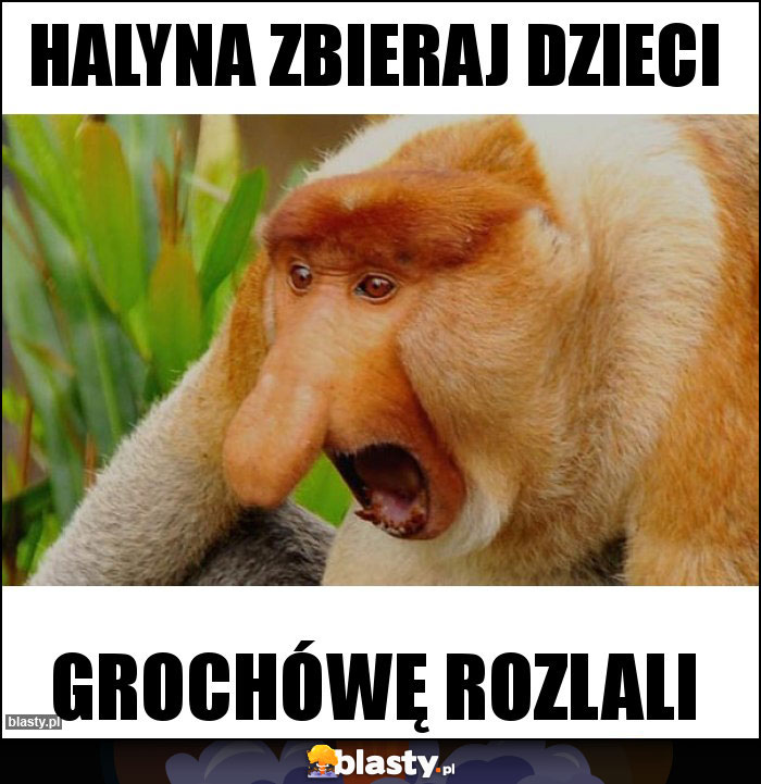 Halyna zbieraj dzieci