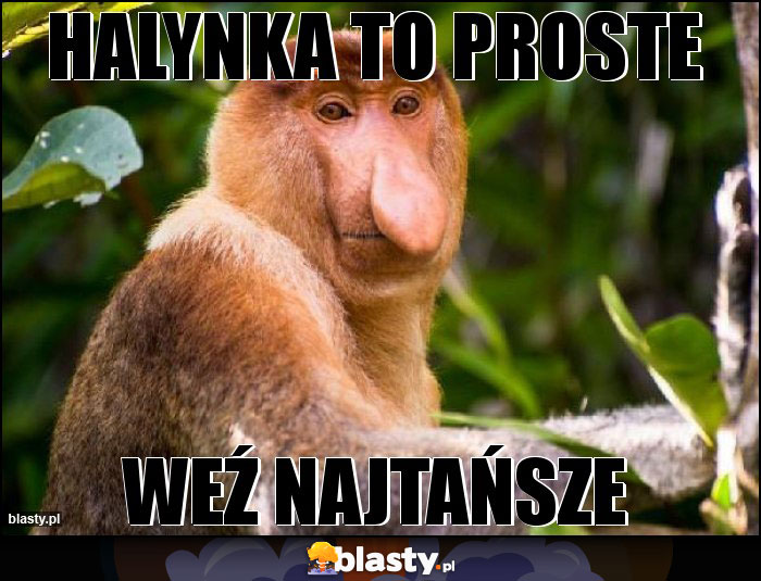 HALYNKA TO PROSTE