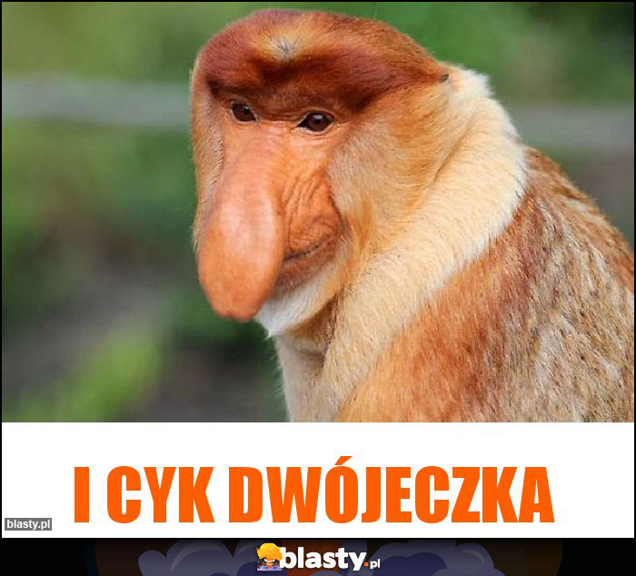 I cyk dwójeczka