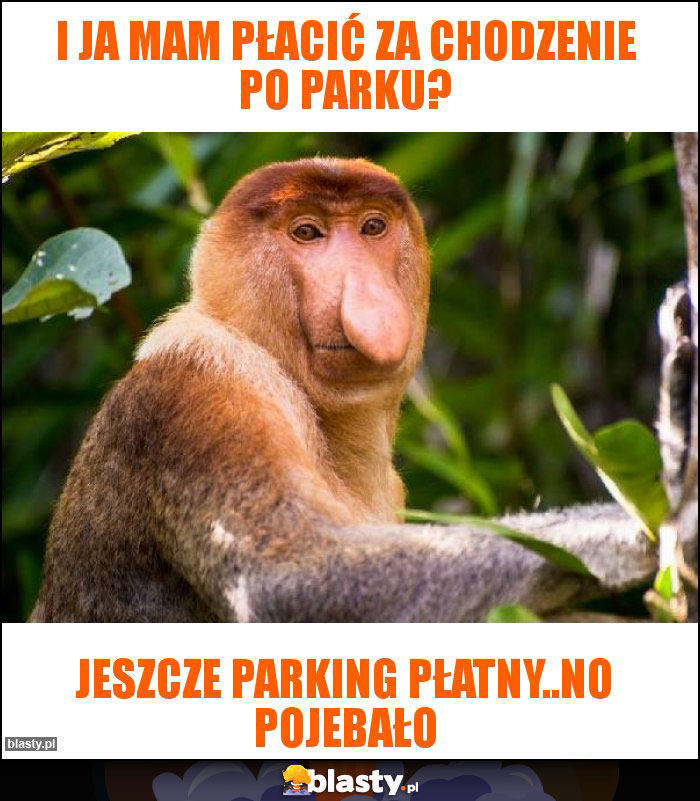 I ja mam płacić za chodzenie po parku?