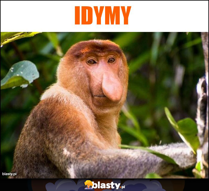 IDYMY