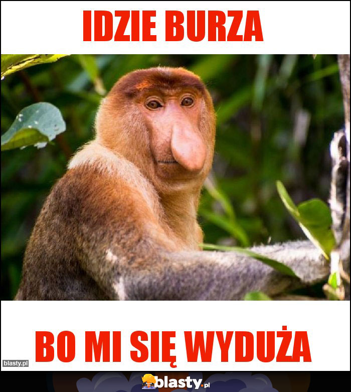 Idzie burza