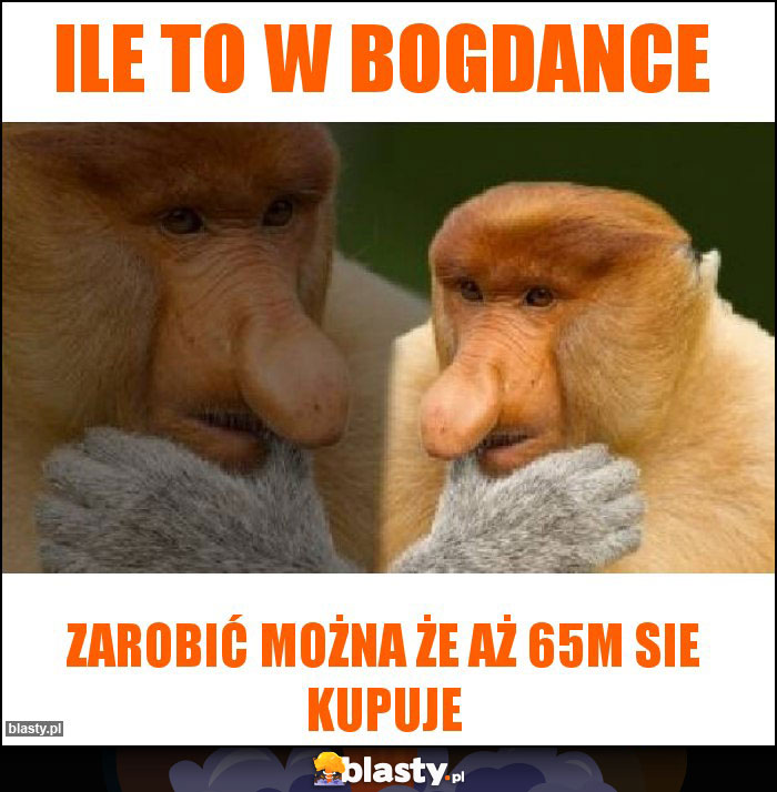 Ile to w bogdance