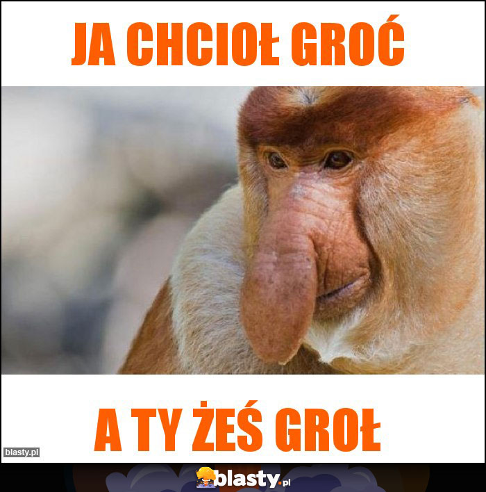 Ja chcioł groć