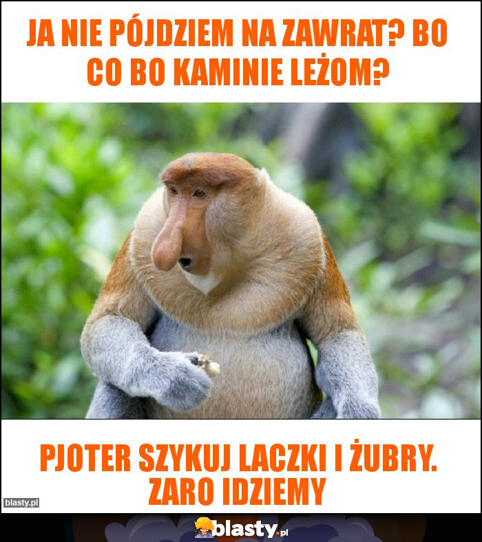 Ja nie pójdziem na zawrat? Bo co bo kaminie leżom?