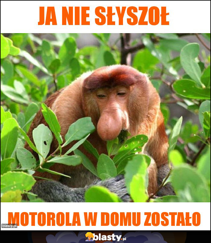 Ja nie słyszoł