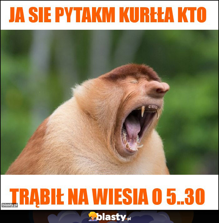 Ja sie pytakm kurłła kto