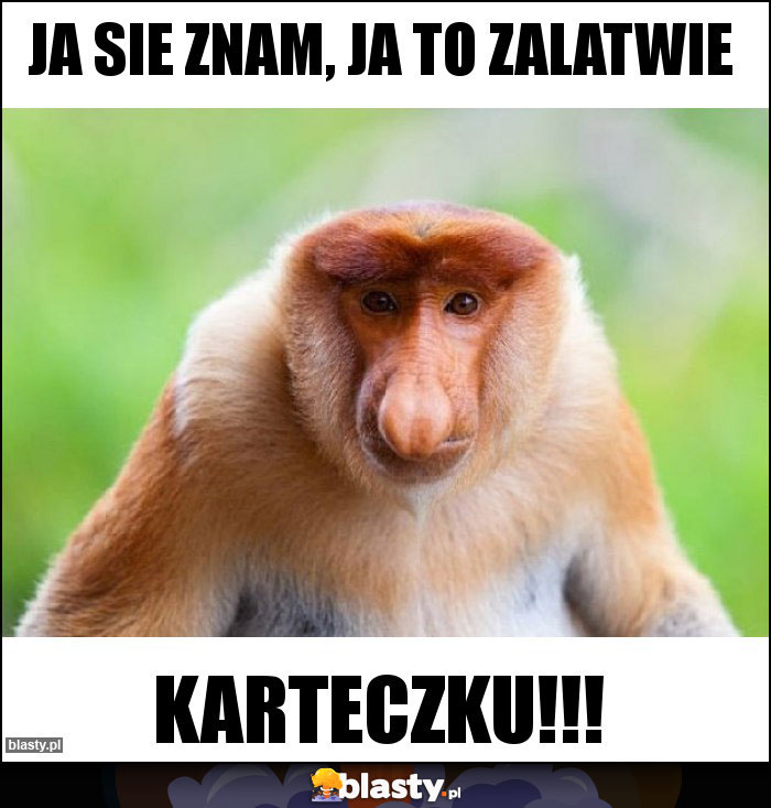 Ja sie znam, ja to zalatwie