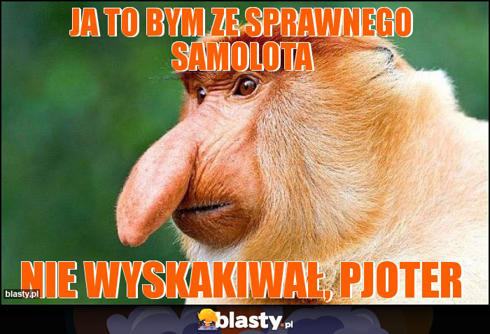 Ja to bym ze sprawnego samolota