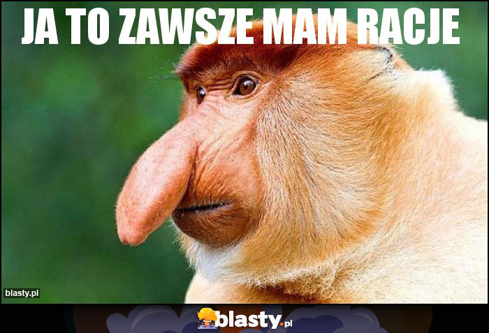 JA TO ZAWSZE MAM RACJE