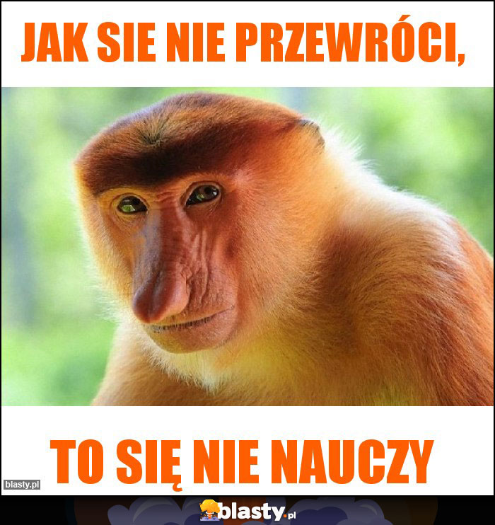 Jak sie nie przewróci,