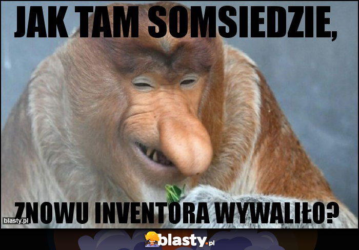 jak tam somsiedzie,