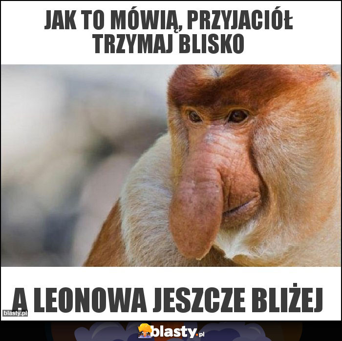 JAK TO MÓWIĄ, PRZYJACIÓŁ TRZYMAJ BLISKO