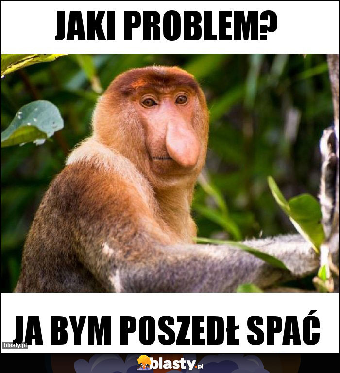 Jaki problem?