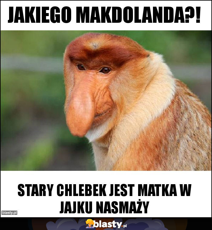 Jakiego makdolanda?!